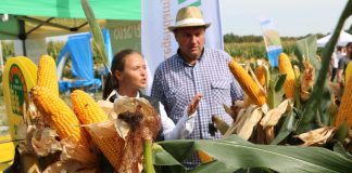 Odmiany kukurydzy HR Smolice. Co nowego na sezon 2026?