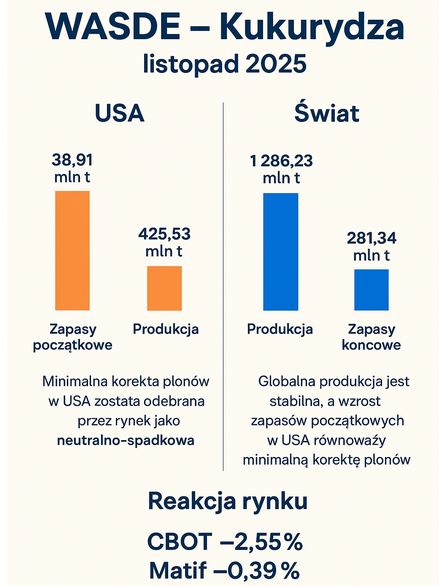 USDA: Produkcja kukurydzy w USA minimalnie w dół, ale zapasy w górę. W reakcji kukurydza taniała w piątek