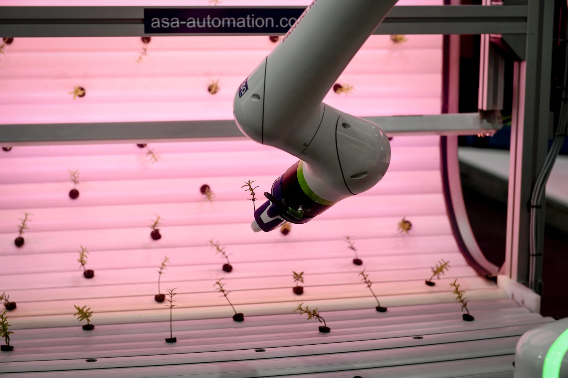 Cyfryzacja w rolnictwie: przyszłość, która dzieje się już teraz