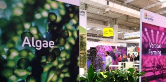 DLG Markets zaprezentuje globalną strategię i innowacje podczas AFTEA 2025 w Singapurze