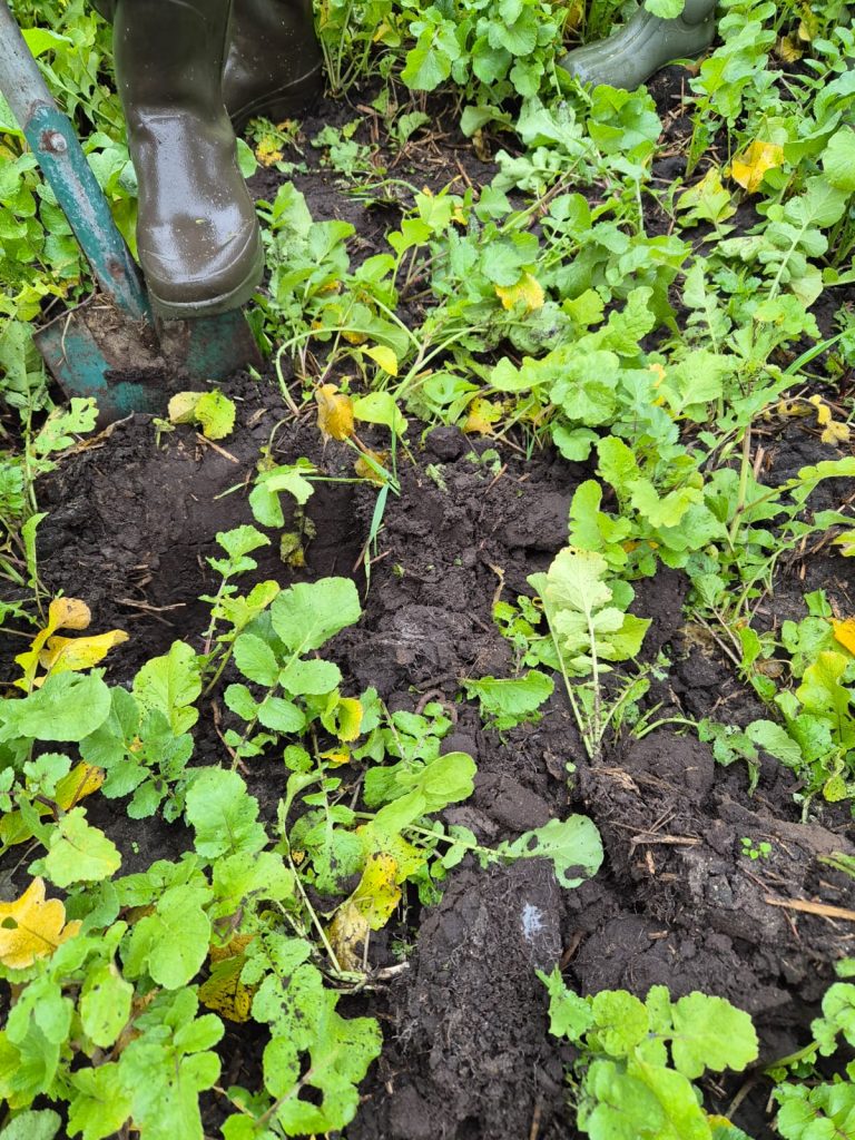 Rolnictwo przyszłości w praktyce – szkolenie Fundacji Terra Nostra w ramach programu EIT Food 3