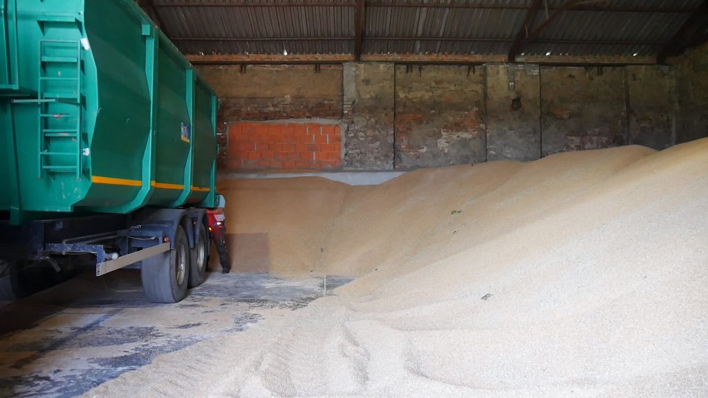 Ożywienie na rynku zbożowym 1