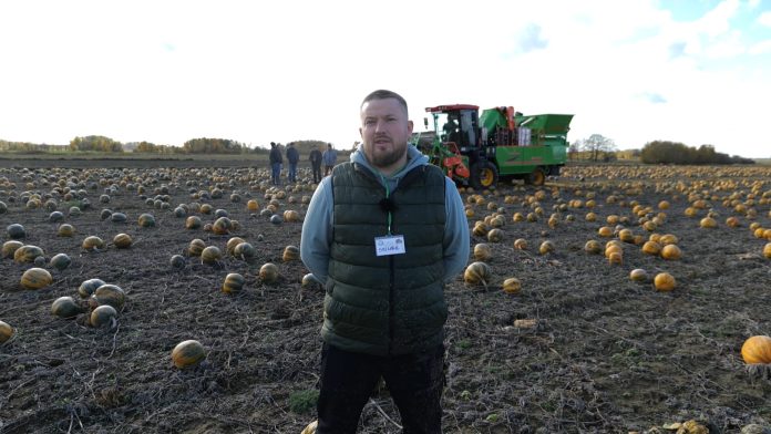 Jedyny taki samojezdny kombajn do zbioru dyni na pestkę Kernsteier [50 ha rocznie]