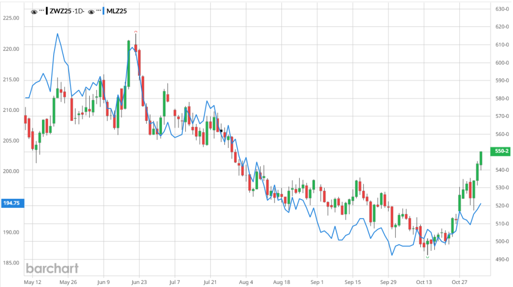 Ceny pszenicy w USA i na Matif rosną – inwestorzy liczą na chiński popyt 1