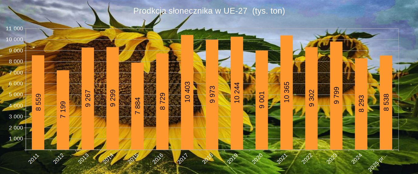 Zbiory słonecznika w UE drugi rok z rzędu poniżej średniej. Ceny rosną