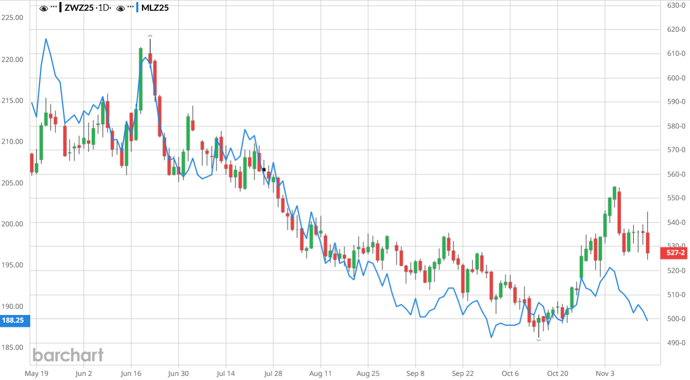 Światowa produkcja pszenicy i zapasy mocno w górę w najnowszej prognozie USDA