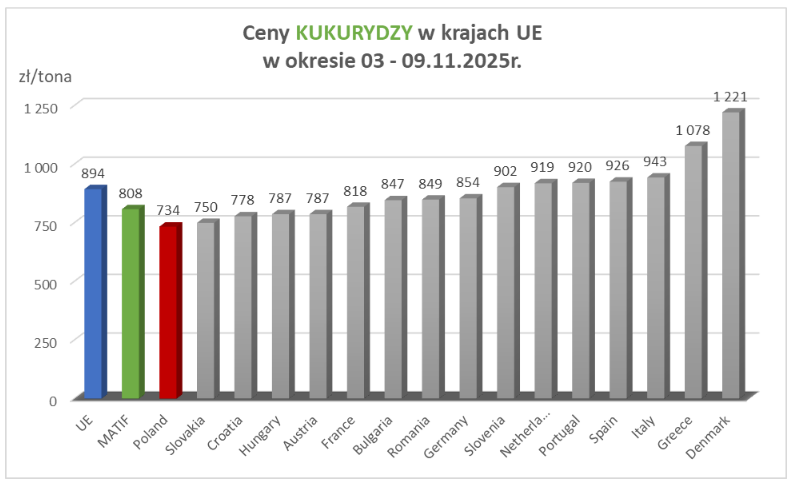 Ceny zbóż w kraju: pszenica z największą rozbieżnością, kukurydza najtańsza w UE – raport MRiRW (09.11.2025) 2