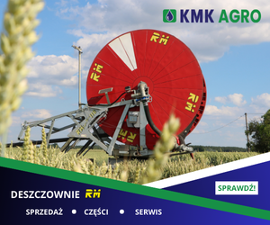 Strona główna 4 spot_img