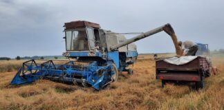 Czy małe gospodarstwa mogą sobie pozwolić na Rolnictwo 4.0?