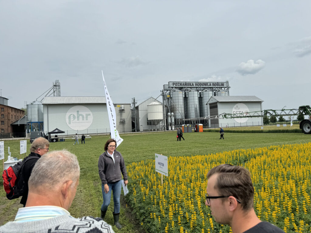 Poznańska Hodowla Roślin świętuje 100 lat! 100 odmian w kilkunastu gatunkach 4