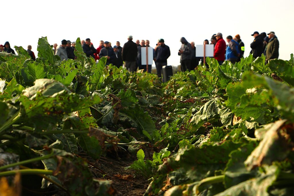 Adiuwant adiuwantowi nierówny. Doświadczenie z produktem Agromix