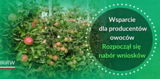 Wsparcie dla sadowników