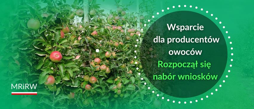 Ruszył nabór wniosków o wsparcie dla sadowników poszkodowanych przez wiosenne przymrozki