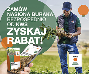 Strona główna 2 spot_img