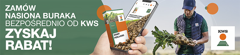 Strona główna 1 spot_img