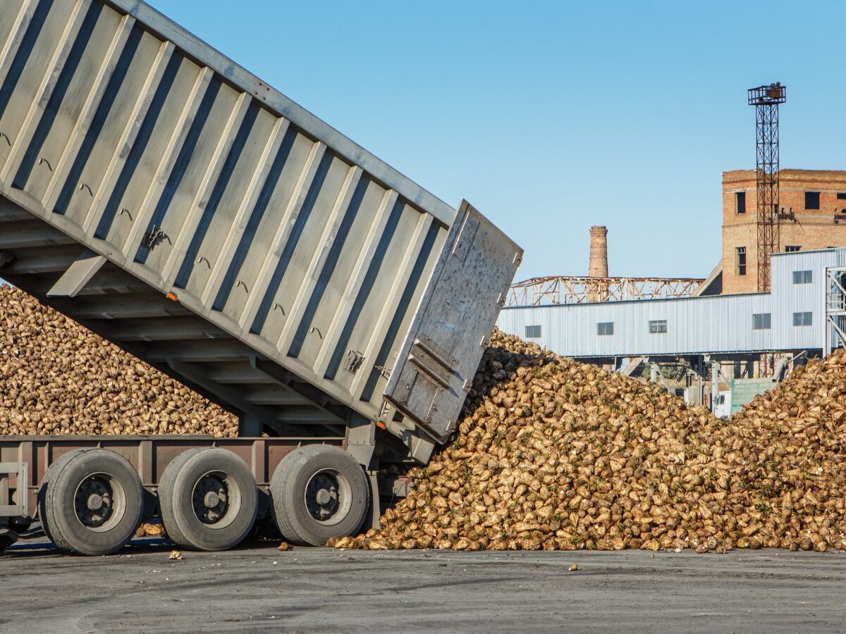 Słodko-gorzki pościg: Ukradł ciężarówkę ze 40 tonami buraków. Był pod wpływem narkotyków