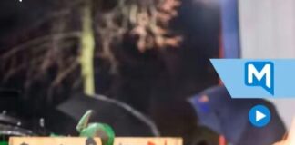 Protesty rolnicze we Francji, Niemczech i Grecji