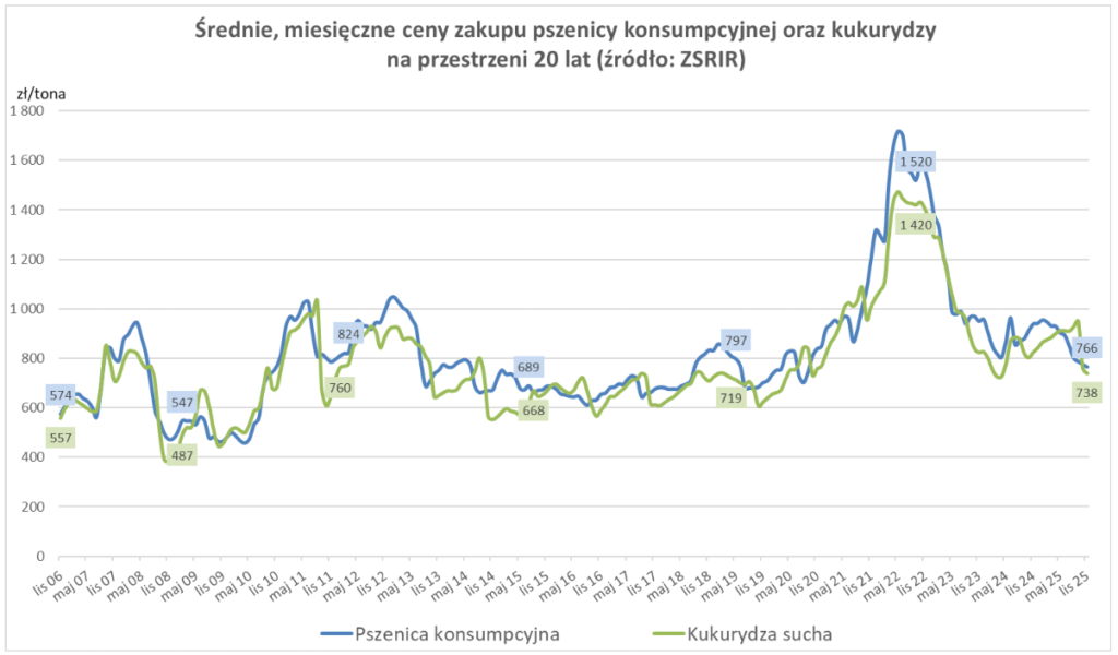 Ceny Zbóż w Kraju: Historyczne Spadki, Polska Najtańsza w UE – Powrót do Poziomów Sprzed Pandemii 1