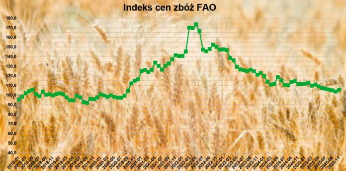 Indeks cen zbóż FAO wzrósł w listopadzie