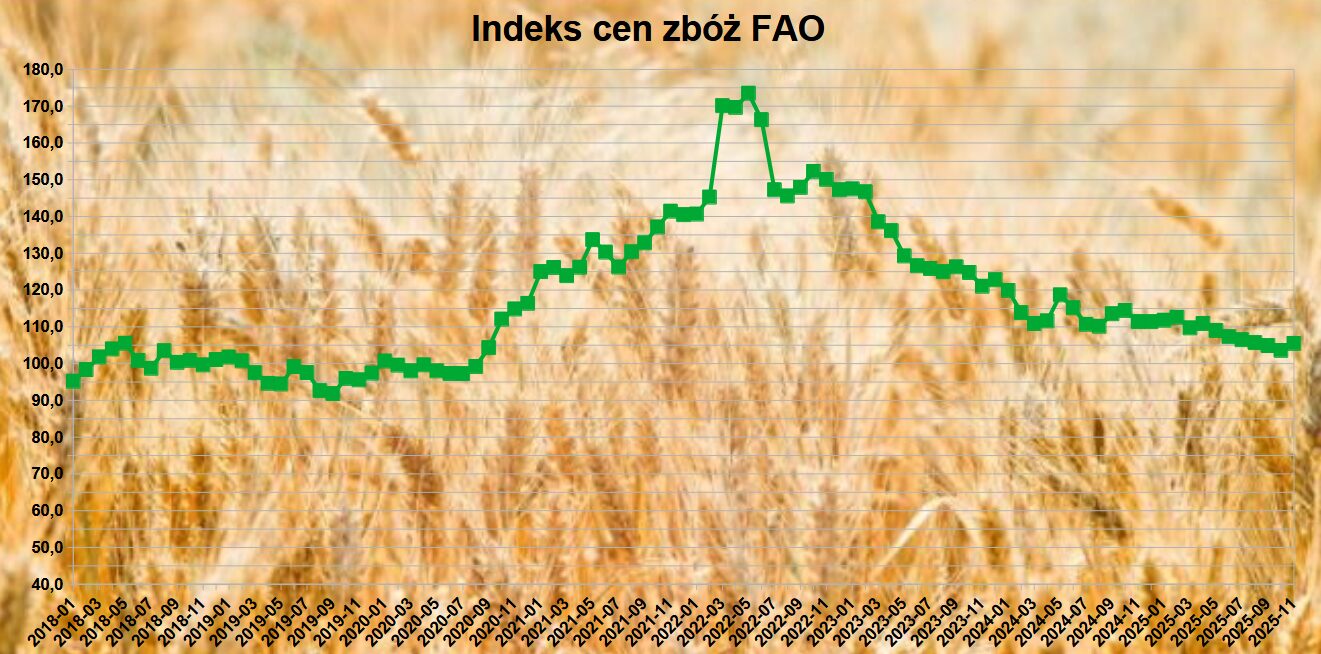 FAO: Międzynarodowe ceny zbóż w górę w listopadzie mimo dobrych zbiorów