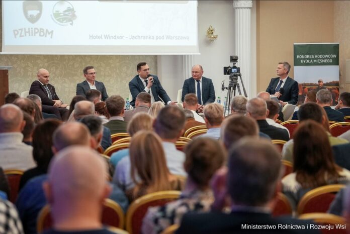 obraz Polska wołowina