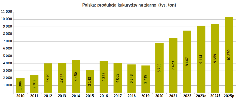 KE: Produkcja kukurydzy w Polsce – nowy rekord
