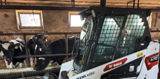 Miniładowarka - kompaktowy pomocnik w gospodarstwie