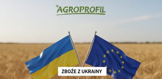 Zboże z Ukrainy