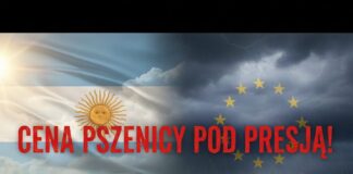 Cena pszenicy pod presją