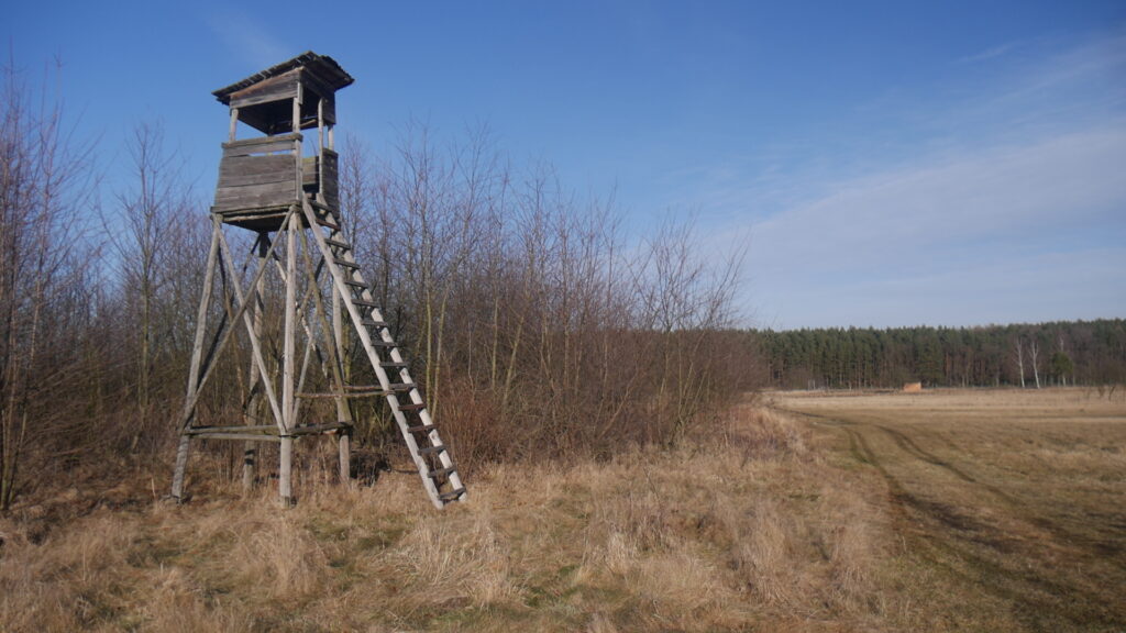 Szkody łowieckie i współpraca myśliwych z rolnikami 1
