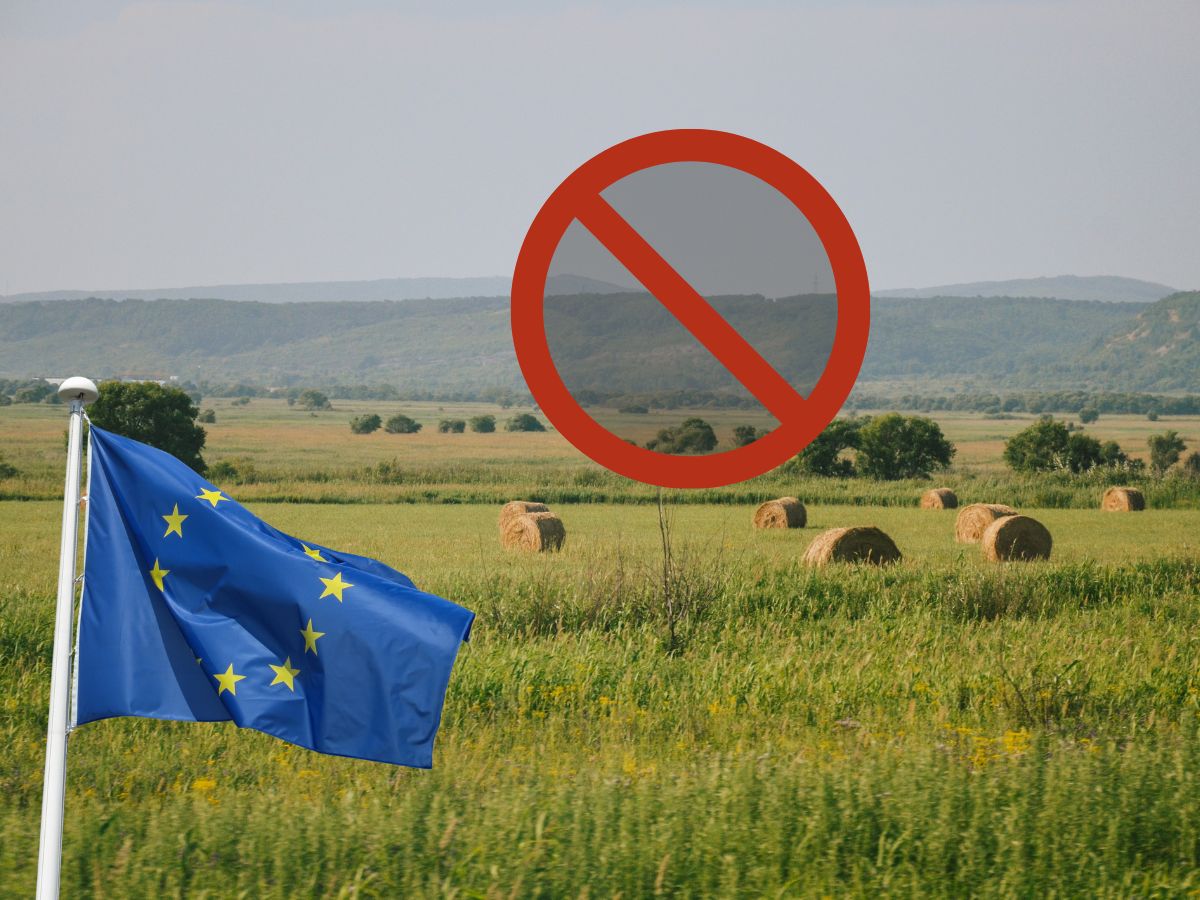 WPR po 2027 roku: Wspólna już tylko z nazwy? Czy polski rolnik stanie się zakładnikiem „Krajowego Planu”?