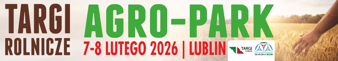 Strona główna 13 spot_img