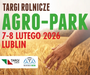 Strona główna 14 spot_img