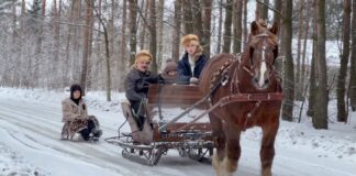 Kulig jak dawniej. Zimowa tradycja, która wciąż żyje