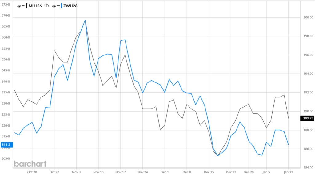 WASDE: Ceny pszenicy reagują spadkiem po obu stronach Atlantyku. USDA potwierdza rekordy w Argentynie i potęgę Rosji 1