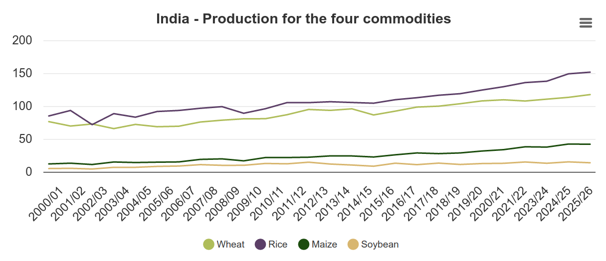 Rekordowe zasiewy pszenicy w Indiach – dlaczego tam uprawa opłaca się najbardziej na świecie?