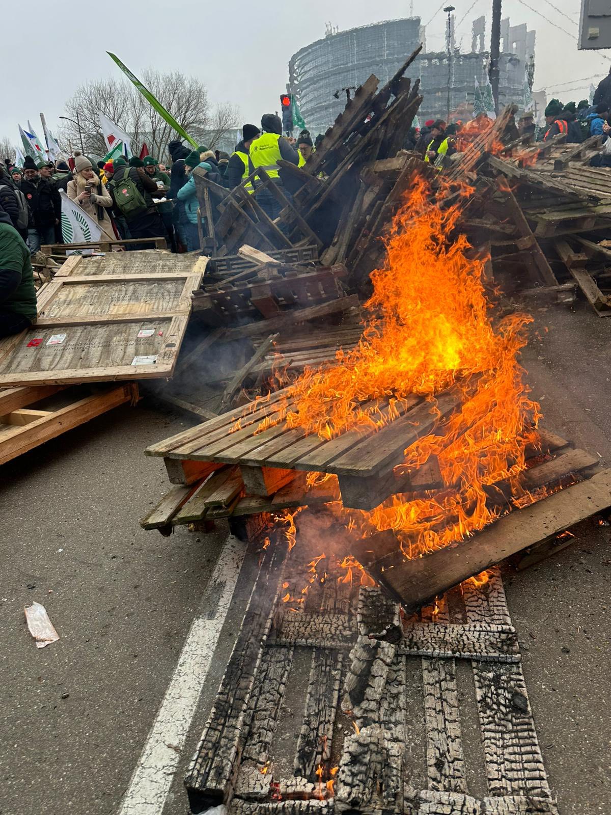 Gorący wtorek w Strasburgu. Wielki protest rolników zakończył się starciami z policją [PODSUMOWANIE]