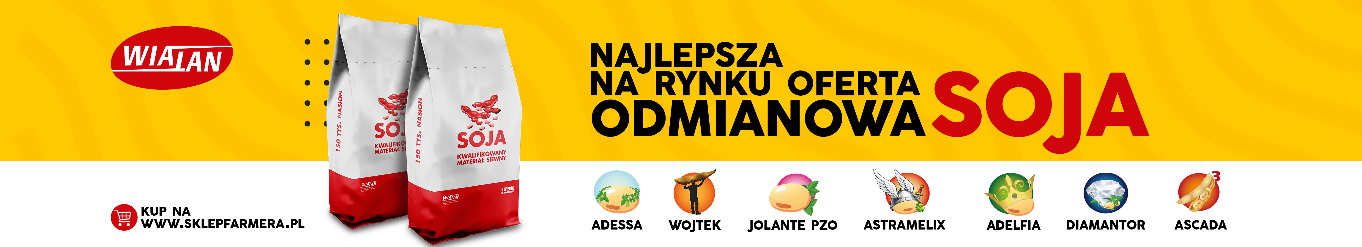 Odmiany soi na 2026 rok – wyniki PDO. Postęp hodowlany daje nowe możliwości