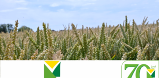 Konferencja „Naturalne metody uprawy w nowoczesnym gospodarstwie” – praktyczna wiedza dla rolników