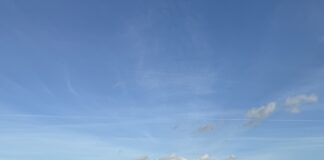 Uprawa bezorkowa od 2 lat