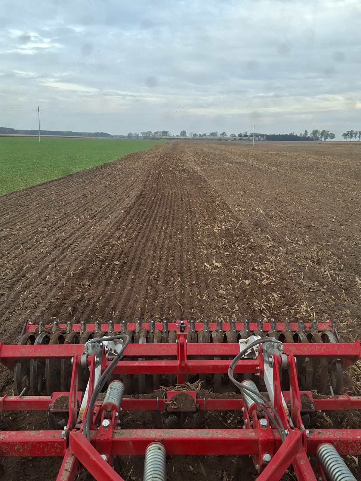 Uprawa bezorkowa od 2 lat