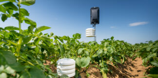 Rolnictwo 4.0 a klimat