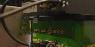 Zboże pod lupą – jak technologia zwiększa wartość plonu i rentowność gospodarstwa