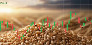 Cena pszenicy na Matif