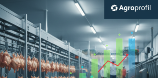 Produkcja mięsa w Polsce - GUS