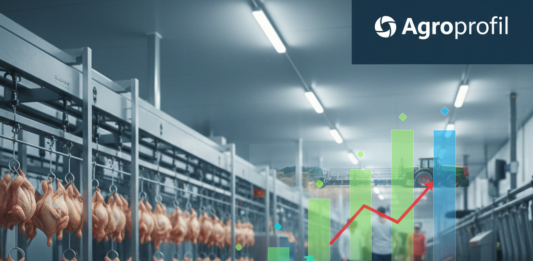 ceny mięsa, ceny tuczników