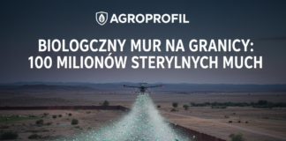 WALKA Z MUCHĄ ŚRUBOWĄ