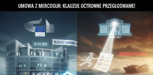 UMOWA Z MERCOSUR - KLAUZULE OCHRONNE