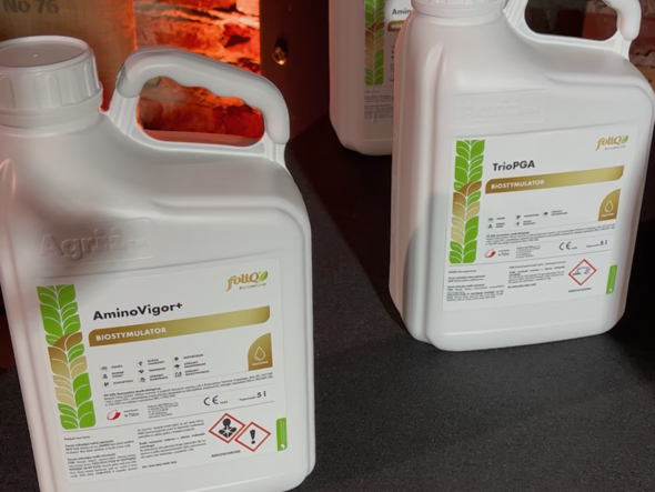 Potrójna Moc Biostymulacji – jak biostymulatory zmieniają podejście do fotosyntezy, stresu i plonowania. foliQ Agrii Polska