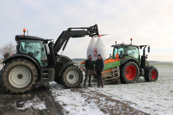 Kiedy siać Korn-Kali?
